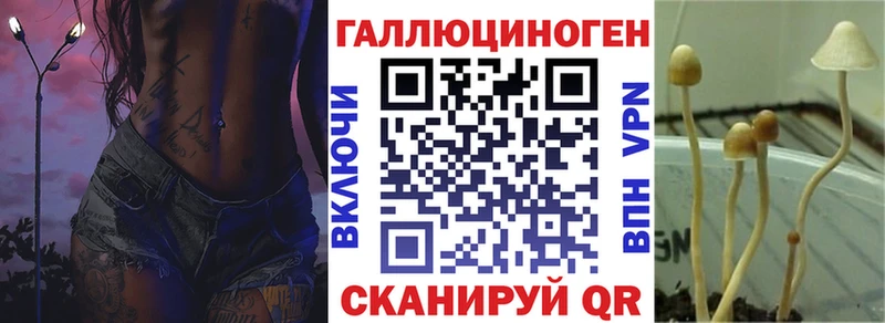 KRAKEN как зайти  Туапсе  Галлюциногенные грибы прущие грибы 